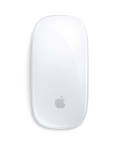 Magic Mouse 2 Bulk - Ricondizionato   - Ottimo